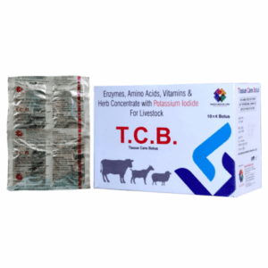 TCB Bolus