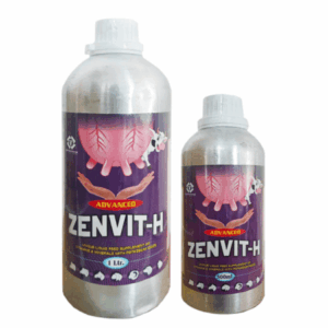 ZENVIT-H